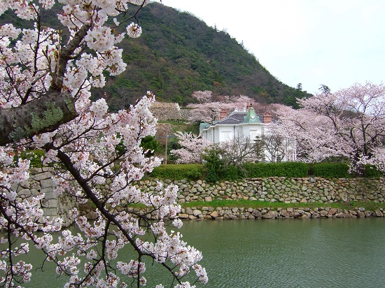 春だ 桜だ お花見だ 今年も行きたい桜の名所 中国 四国編 旅時間