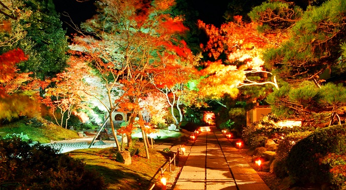 日本三景 松島の紅葉ライトアップが幻想的で素敵 旅時間