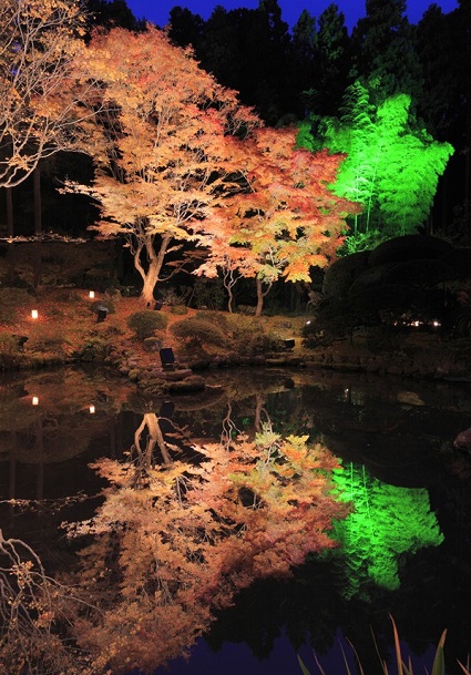 日本三景 松島の紅葉ライトアップが幻想的で素敵 旅時間