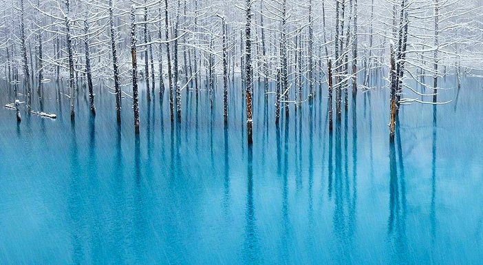 美瑛の 青い池 がライトアップで幻想的に浮かび上がる 旅時間