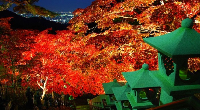 この秋に絶対行きたい 神奈川 大山寺の紅葉ライトアップ 旅時間