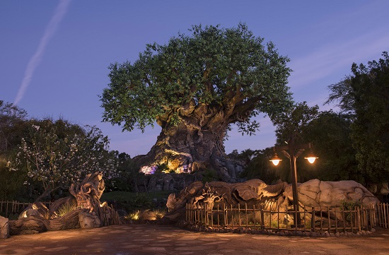 Tree of Life Grows New Roots at Disney’s Animal Kingdom